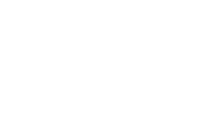 Logo museum de buitenplaats